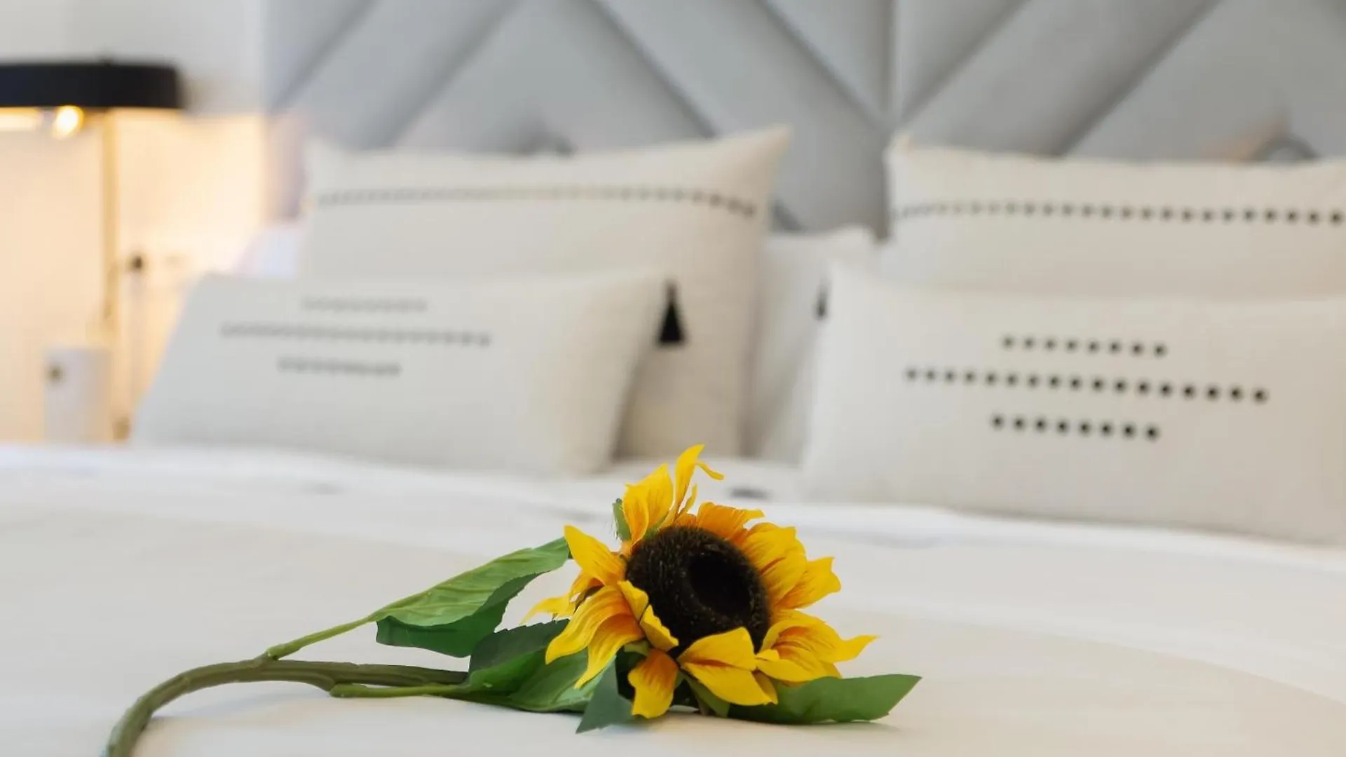 Hanami Villa La Palma Estepona 0*,